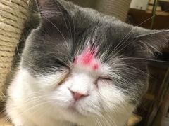 -小时光咖啡馆(开森度假森林店)