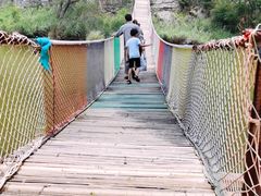 -东方巨龟苑景区