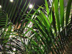 -茶颜悦色(环球奥特莱斯店)