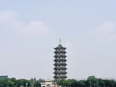 -葛仙湖公园