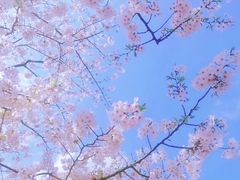 -星巴克(上海南站店)