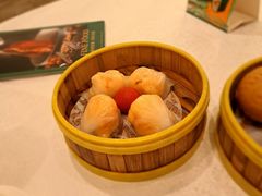 -潮江春(阳光店)