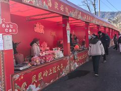 -北京凤凰岭