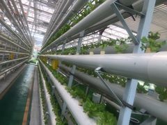 -兰陵国家农业公园