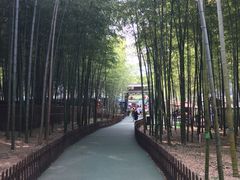 -陶祖圣境风景区