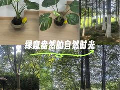 -滨湖塘西河公园