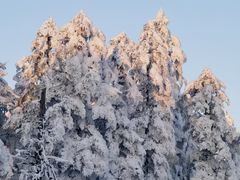 -瓦屋山景区