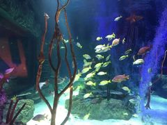 -沈阳海洋探索中心