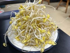-秦巴石锅鱼(文化南路店)