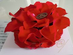 -PETIT PARIS 小巴黎(凯德1818店)