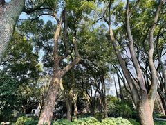 -上海醉白池公园