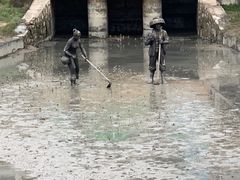 -北海金海湾红树林生态旅游区