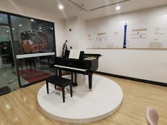 -珠江钢琴艺术中心(文一路店)