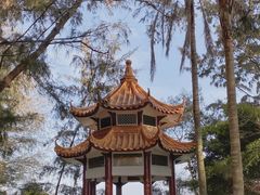-宋井风景区