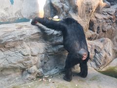 -鄂尔多斯野生动物园