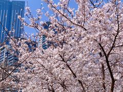 -西北湖绿化广场