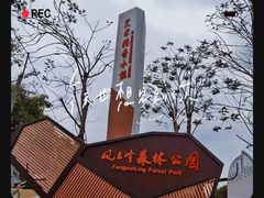 -风云岭森林公园