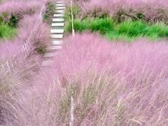 -嘉北郊野公园
