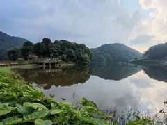 -广州市石门国家森林公园