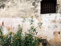 -东梓关景区村庄