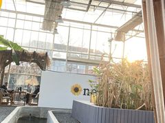 -莆鑫海鲜城(浏河店)