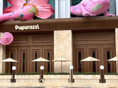 -帕帕拉兹宠物(亚洲旗舰店)