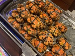 -新发展亚太JW万豪酒店·福苑咖啡厅