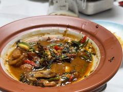 -军子大排档(迎春花园店)
