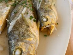 清蒸中黄鱼-胖大嫂渔家排档·全海景餐厅(渔村店)