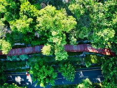 -深圳国际园林花卉博览园