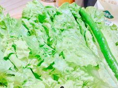 生菜-金顺韩式烤肉·网红烤肉店(广利路店)