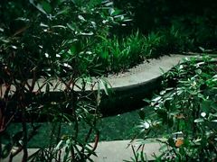 -青城道汤池