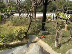 -武汉动物园