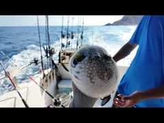 -小猫钓鱼海钓俱乐部(椰梦长廊店)