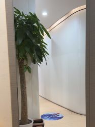 -郑荃丽格医疗美容