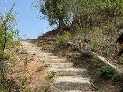 -南山特攻真人CS户外露营轰趴拓展基地