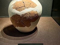 -盘龙城遗址博物院