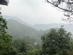 -大金鹰园