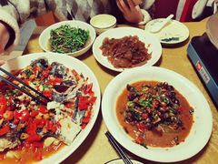 -全乐鱼馆·淳牌有机鱼直营店