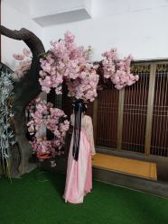 -盘子女人坊古装写真摄影(深圳店)