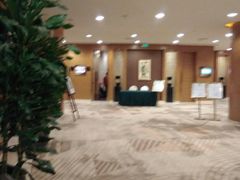 -天津水游城丽筠酒店