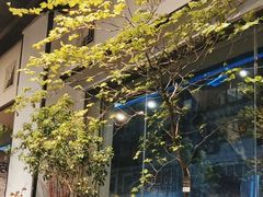 -弗劳尔花艺坊(龙涛店)