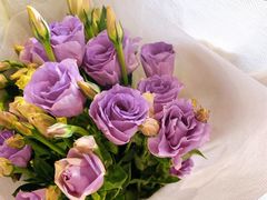 -沪花拾者(好再来花卉鲜花店)