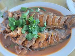 -小冯羊汤馆(驿城新居店)