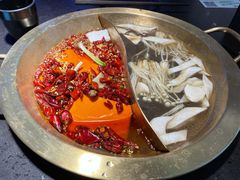 -锅说大脸毛肚重庆老火锅(佐阾店)