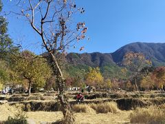 -塔川景区