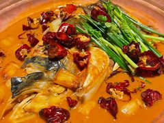 -柿合缘新京菜(国金中心商场店)
