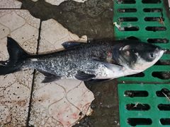 -桃园美食(水库路店)