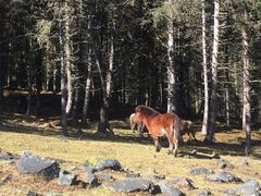 -硗碛藏寨·神木垒景区