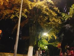 -四川大学(华西校区)